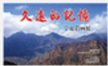 四张小图加文字3